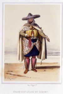grote Arabische chef van de woestijn tijdens de tweede helft van de 19e eeuw door Unknown artist