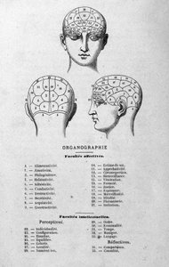 Illustratie uit Charles Rouvins boek van 1873 Organographie La Tête humaine, geïllustreerde studies van frenologie en fysiognomie toegepast op beroemde personages Parijs 1873