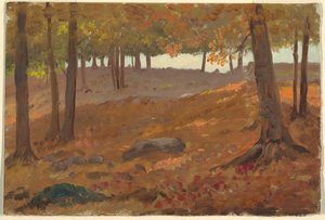 Tekening, Bos in de herfst, 1870-80 door Unknown artistUnknown artist