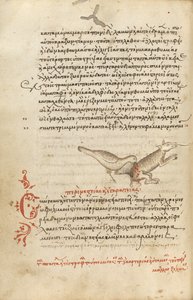 Een vogel pikt naar een dier door Unknown artist