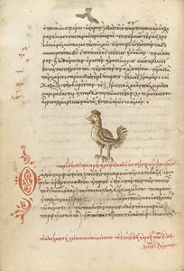 A Hen