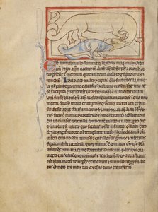 Een Hydrus door Unknown artist