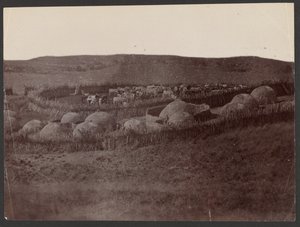 A Kraal, Zulu Land