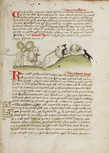 Een leeuw en nog een leeuw met een muis door Unknown artist