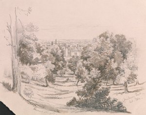 Een uitzicht op Danbury Park