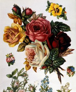 Een boeket rozen. 19e-eeuwse chromolithografie. door Unknown artist