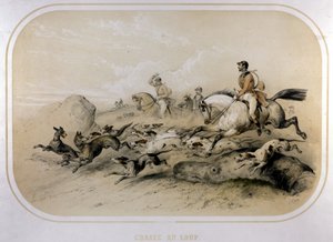 Een wolvenjacht. Gravure uit de 19e eeuw door Unknown artist
