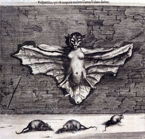 Vleermuizen en ratten, uit 