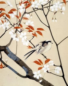 Vogel en bloeiende kersenboom - Japanse tekening door Riou Chim, eind 19e eeuw door Unknown artist