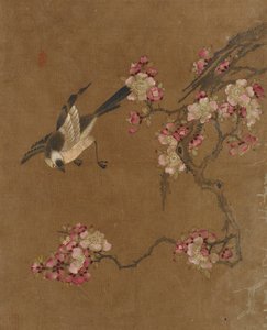 Vogels en Bloemen