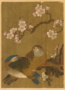 Vogels en Pruimenbloesems