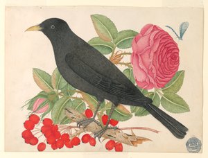 Zwarte vogel met rozen