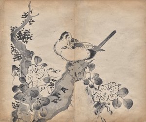 Bloesems en Vogels