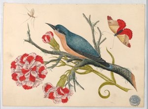Blauwe vogel op tak met anjers en insecten door Unknown artist