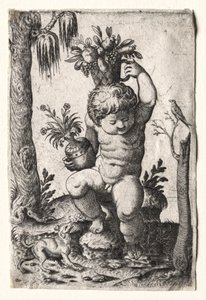 Jongen met Fruitmand