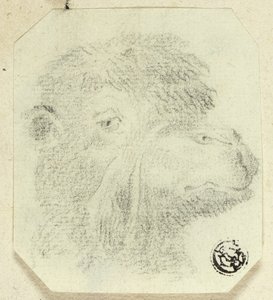 Kameelkop naar rechts door Unknown artist