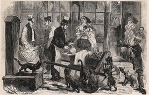 Kattenvleesman op een straat in de wijk Westminster in Londen, een wandelende paardenvleesverkoper voor honden en katten - Gravure in 