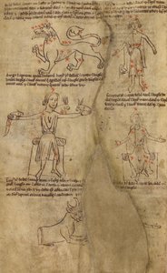 Sterrenbeeld diagrammen