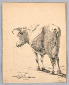 Koe door Unknown artist