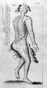 De Acupunctura door W.Ten Rhijne. Londen 1683. Eerste westerse tekst over acupunctuur door Unknown artist