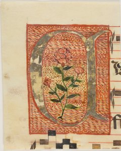 Versierde initiaal "A" met bloem uit een manuscript