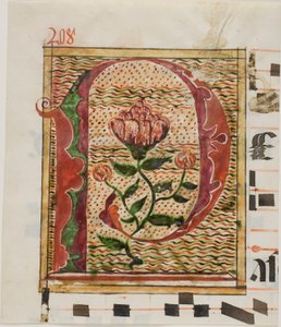 Versierde initiaal "P" met bloemen uit een manuscript door Unknown artist