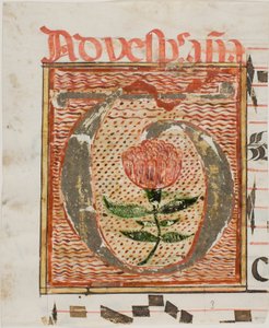 Versierde initiaal "T" met bloem uit een manuscript door Unknown artist