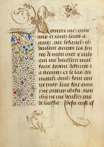 Versierde tekstpagina door Unknown artist