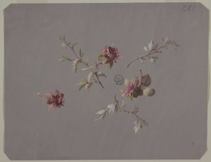 Ontwerp voor Behang en Textiel: Bloemen