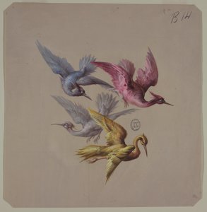 Ontwerpen voor Behang en Textiel: Vogels