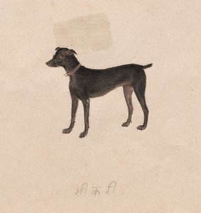 Hond door Unknown artist