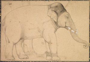 Tekening van een Olifant door Unknown artist