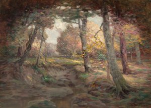 Rand van het Bos