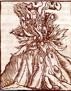 Uitbarsting van een vulkaan. 16e-eeuwse gravure. door Unknown artist