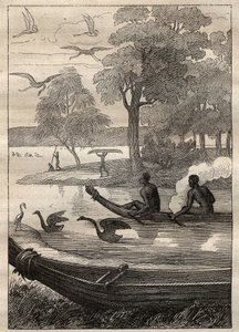 Expeditie van Antoine Bruny