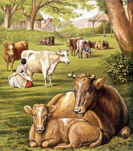 Boeren die melk trekken. 19e eeuw. door Unknown artist