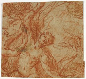 Het villen van Marsyas door Unknown artist