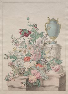 Flore Pittoresque ou Recueil de Fruits et de Fleurs door Unknown artist