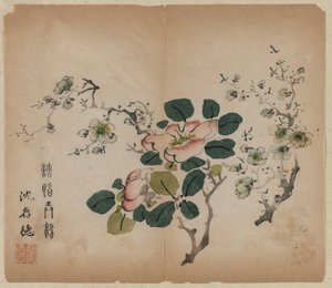 Bloeiende Prunus