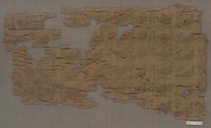 Fragment