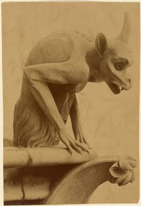[Waterspuwer, Notre-Dame]. door Unknown artist