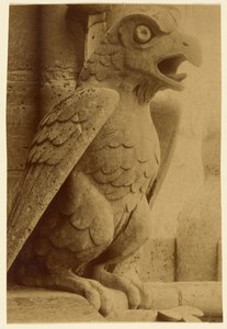 [Waterspuwer, Notre-Dame].