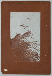 Grassen en Kraanvogels