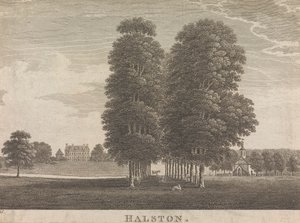 Halston; pagina 22 (Volume Twee)