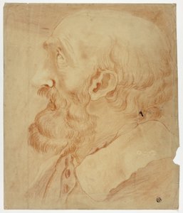 Hoofd van man met baard in profiel door Unknown artist