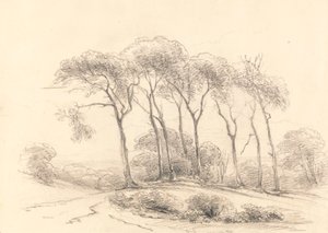 Hoge Bomen door Unknown artist