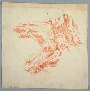 Paardenstudies