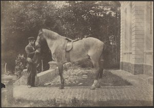 [Paard en Mens]