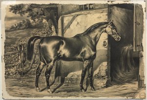 Paard voor een schuur (verso)