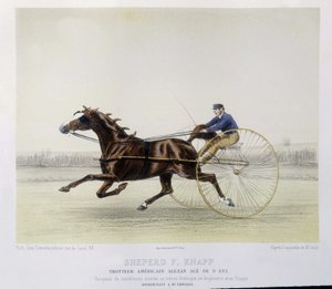 Paardrijden: Shepherd F. Knapp, draver - in "de centaur" door Unknown artist